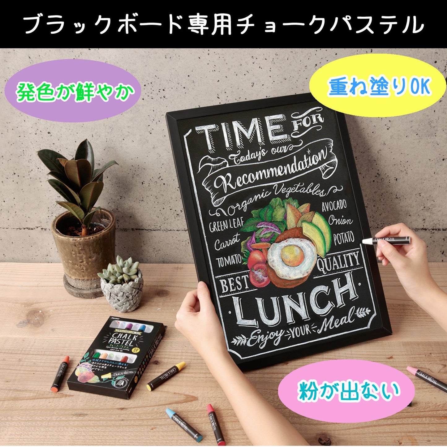 Raymay Fujii LBCP200 Chalk Pastel for Blackboard, Dustless, 24 Colors