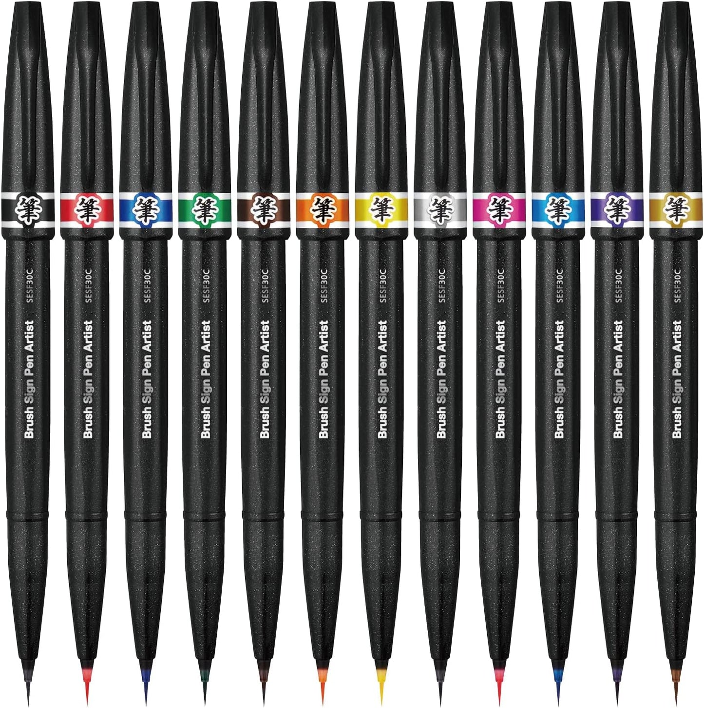 Pentel AMZ-SESF30C-12 Blush Sign Pen Artist Brush Pen, Set of 12 Colors