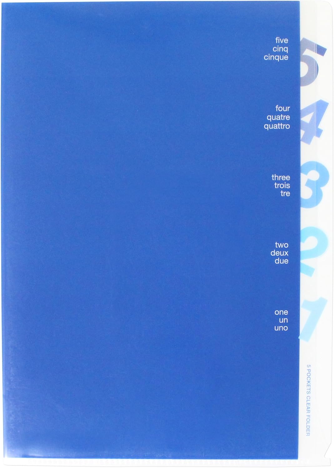 Midori 35102006 Clear Holder, 5 Pocket Clear Holder, A4, Die-Cut License Plate Pattern, Blue