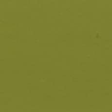 Holbein Acrylic Colors Mat Olive Green (B)