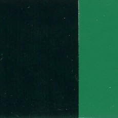 Holbein Artist Oil Colors phthalo Green Yellow Shade 40 ml