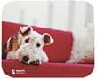 KOKUYO EAM-PD42-3 Mouse Pad, Recycled Paper Type