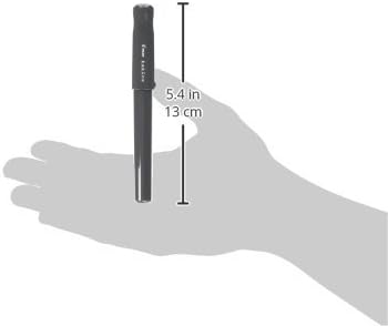 PILOT Kakuno Fountain Pen of Biginners, Medium Nib, Glay Body (FKA-1SR-GYM)