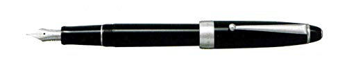 Pilot FKNS-1MR-BEF Custom NS Fountain Pen, Extra Fine, Black
