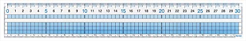 Raymay Fujii AJH308 Ruler, Easy to Read Grid Ruler, 11.8 inches (30 cm)