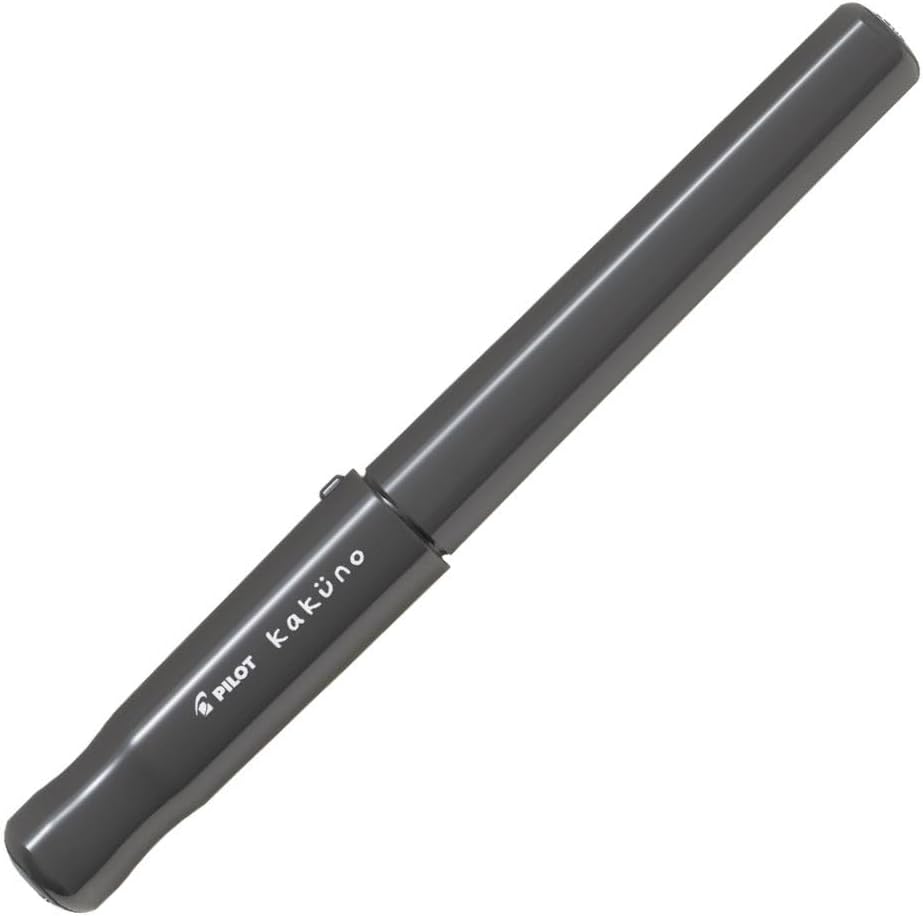 PILOT Kakuno Fountain Pen of Biginners, Fine Nib, Glay Body (FKA-1SR-GYF), Gray, main image