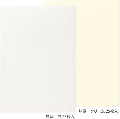 Midori 20519006 Stationery Paper for Beautiful Letters with Fountain Pen, Unruled A