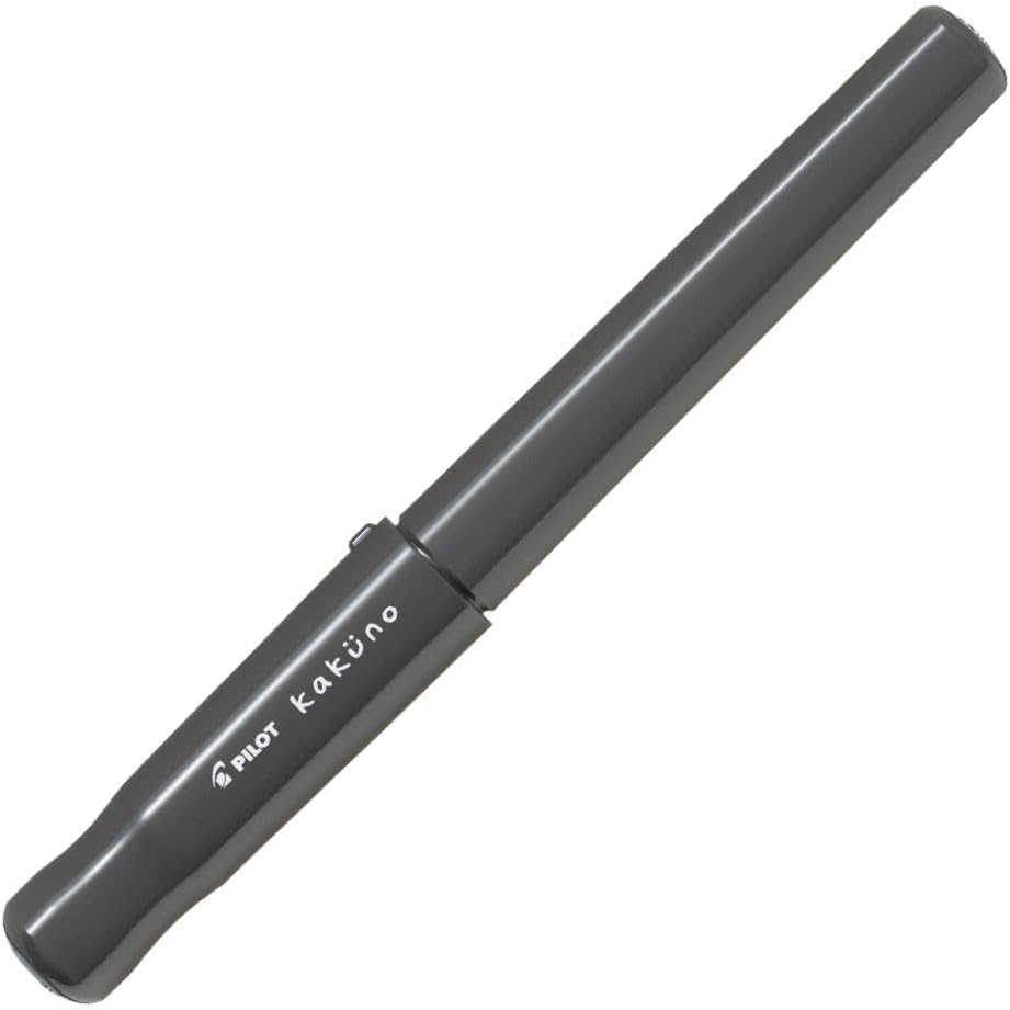 PILOT Kakuno Fountain Pen of Biginners, Medium Nib, Glay Body (FKA-1SR-GYM), main image