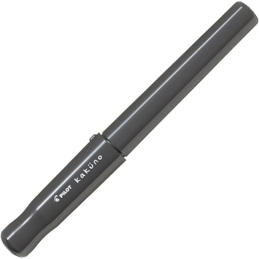 PILOT Kakuno Fountain Pen of Biginners, Medium Nib, Glay Body (FKA-1SR-GYM), main image