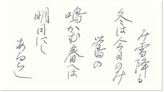 PILOT Fountain Pen Water Based Ink Iroshizuku Mini Bottle 0.5 fl oz (15 ml) [Winter General General] INK15FS, Fuyu-syogun