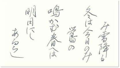 PILOT Fountain Pen Water Based Ink Iroshizuku Mini Bottle 0.5 fl oz (15 ml) [Winter General General] INK15FS, Fuyu-syogun
