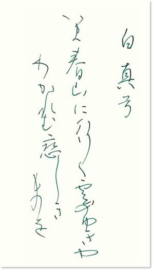 PILOT Fountain Pen Water Based Ink, Iroshizuku Mini Bottle, 0.5 fl oz (15 ml) [Matsuduro] INK15SY, Syo-ro