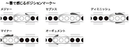 Other Harmonica (SSCH-56)