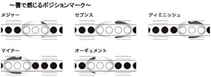 Other Harmonica (SSCH-56)