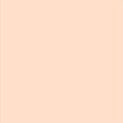 Turner Colour Works Acryl Gouache Artist Acrylic Paint - Single 20 ml Tube - Pastel Orange