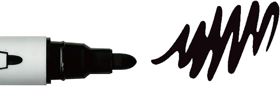 Kuretake Zig Twin Tip Marker Clean Color f, 12 Color Set (TCS-6000T/12V)