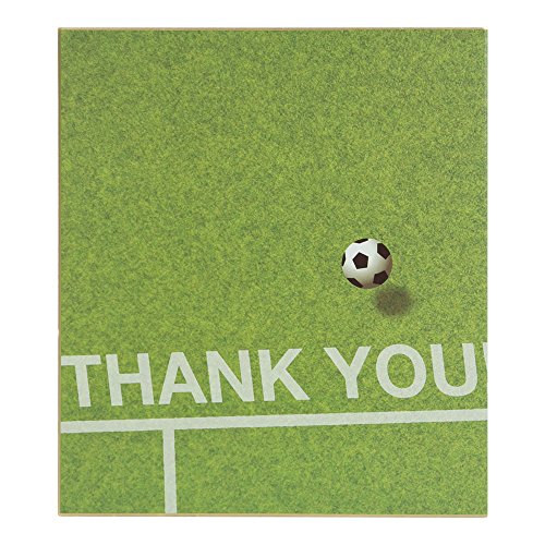 Midori 33167006 Colored Paper, Bi-Fold, Colored Paper, Soccer Field Pattern