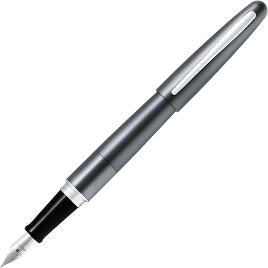 PILOT Cocoon Fountain Pen Fine Nib Metalic Gray Body (FCO-3SR-MGY-F)