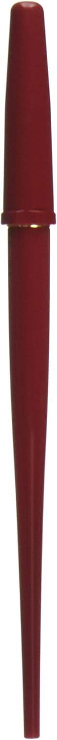 PILOT Fountain Pen, Extra Fine Nib, Red Body (DPN-70-R-EF), main image
