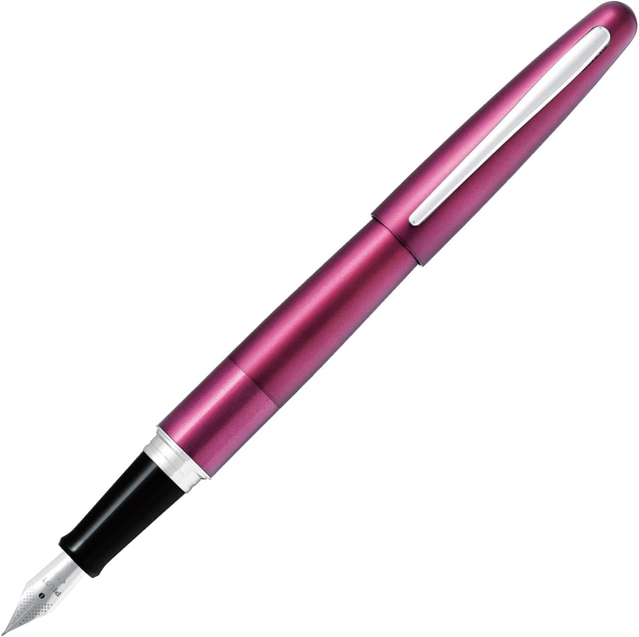 PILOT Cocoon Fountain Pen Fine Nib Bordeaux Body (FCO-3SR-BO-F)