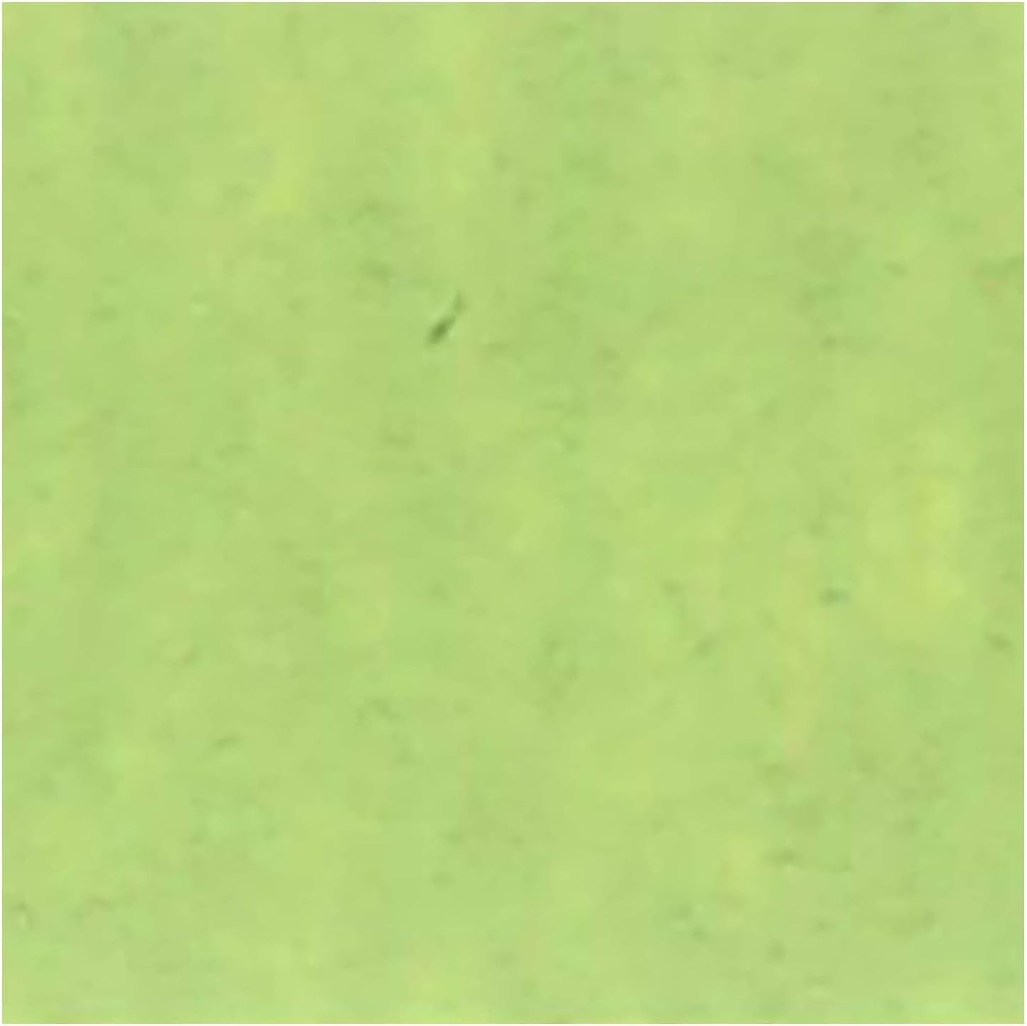 Turner Colour Works Acryl Gouache Artist Acrylic Paint - Single 20 ml Tube - Japanesque Light Green
