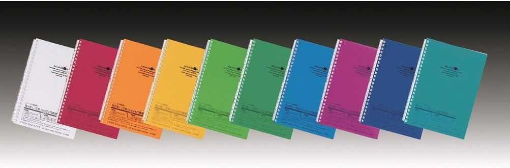 LIHIT LAB. Refillable Notebook (Journal), Lined Paper, 8.2 x 5.8 inches (N1650)