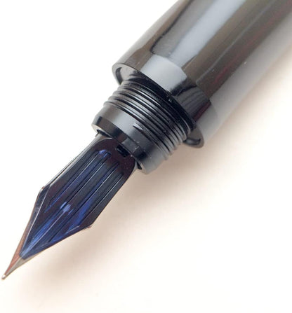 PILOT Fountain Pen Calligraphy Pen (Black, Medium), detail image