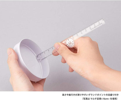 DESIGNPHIL 42266006 Multi Ruler, 11.8 inches (30 cm), Transparent