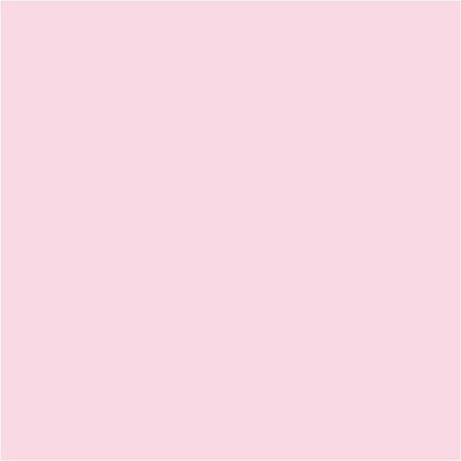 Turner Colour Works Acryl Gouache Artist Acrylic Paint - Single 20 ml Tube - Pastel Rose