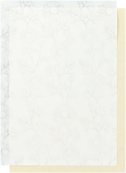 Design Fill Midori Stationery B5 Watermark Washi