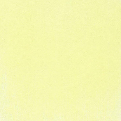 PanPastel Artist Pastels by GOLDEN, Bright Yellow Green Tint, 2.44??� / 62mm Pan Diameter, Professional Artist Pastels, Unique Pan Format (cake-like)