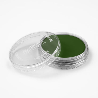 PanPastel Artist Pastels by GOLDEN, Chromium Oxide Green, 2.44??� / 62mm Pan Diameter, Professional Artist Pastels, Unique Pan Format (cake-like)