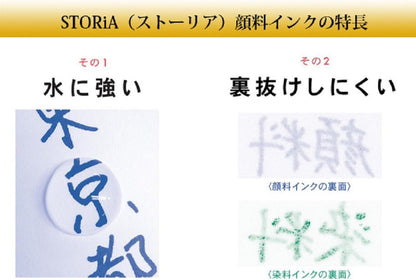Sailor 131006230 Fountain Pen, Pigment Bottle Ink, Storia, 0.7 fl oz (20 ml), Red