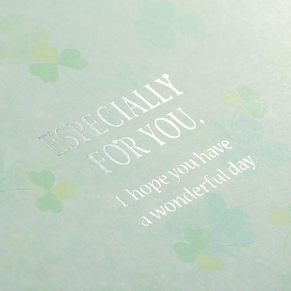 Midori 33140006 Colored Shikishi Bifold Clover Pattern