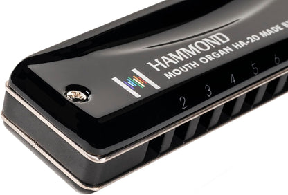 SUZUKI Harmonica, Bb Promaster-Hammond