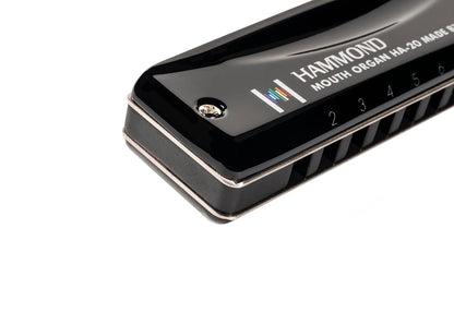 SUZUKI Harmonica, D (HA-20-D)