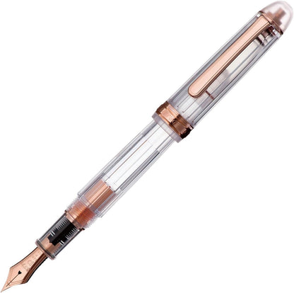 PLATINUM PNB-20000R#5-2 fountain pen # 3776 Century Nice fine print (F), alternate view