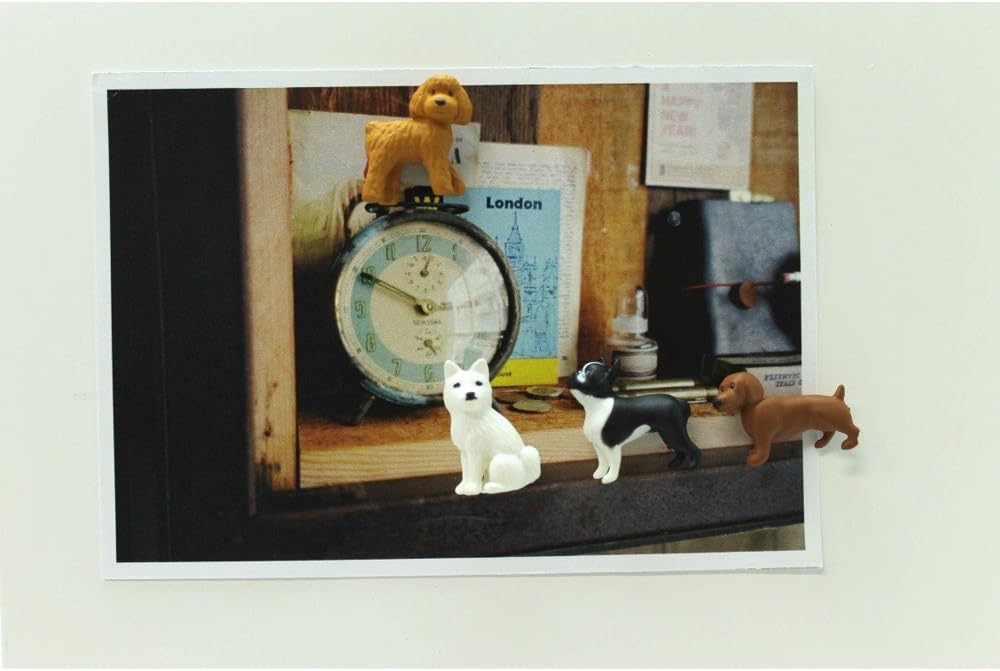 Designphil Midori Mini Magnet, Dogs (49753006) - Cute Animal Magnet, 6 Pcs, Multicolored Plastic
