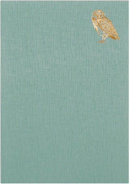 DESIGNPHIL Midori 12870006 Notebook Diary, Night A, Owl