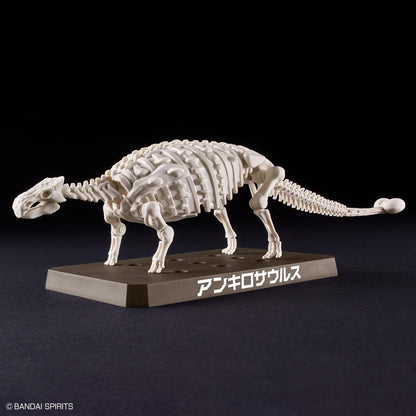 Bandai Hobby - Plannosaurus - #06 Ankylosaurus Dinosaur Model Kit