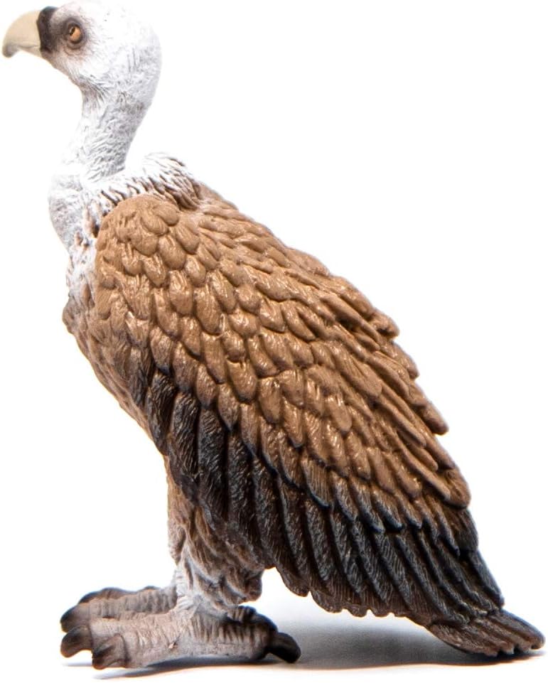 Schleich Wild Life, Animal Figurine, Animal Toys for Boys and Girls 3-8 years old, Vulture, Ages 3+