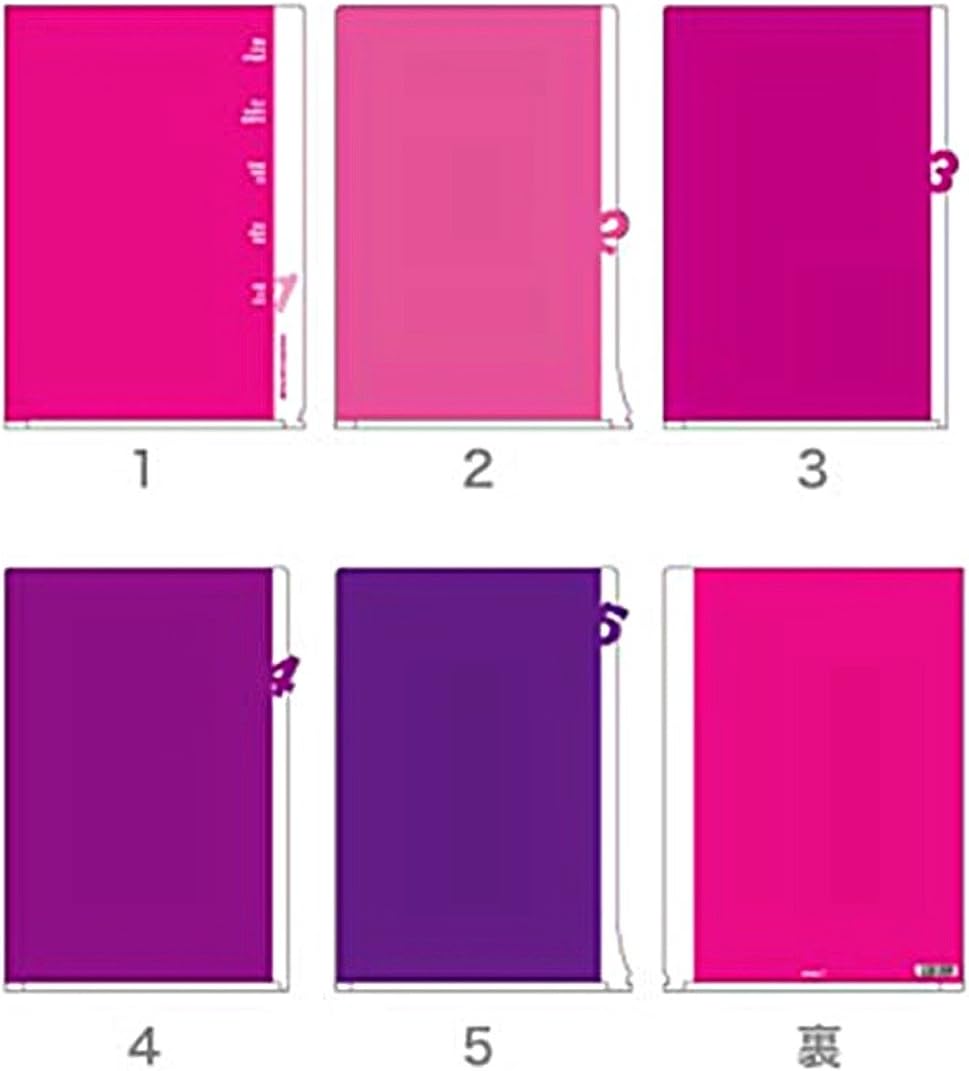 Midori 35101006 Clear File 5 Pocket Clear Holder, A4, Die Cut, Number Pattern, Pink