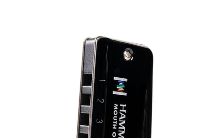 SUZUKI Harmonica, D (HA-20-D)