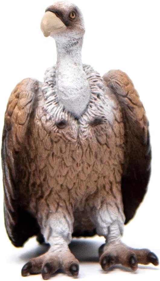 Schleich Wild Life, Animal Figurine, Animal Toys for Boys and Girls 3-8 years old, Vulture, Ages 3+