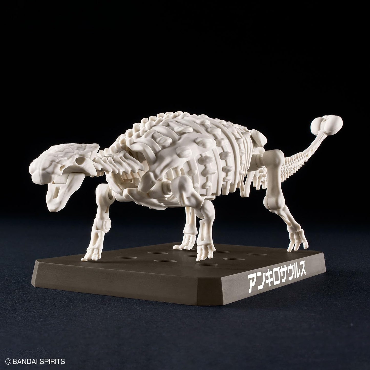 Bandai Hobby - Plannosaurus - #06 Ankylosaurus Dinosaur Model Kit
