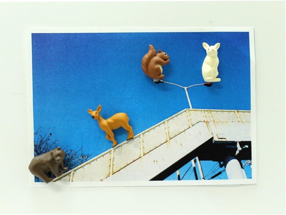 Midori Mini Magnet, Forest Animals (49758006), Assorted