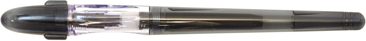 PILOT P-FP-60R-TPEF Fountain Pen, Fine Point, Clear Pink side view
