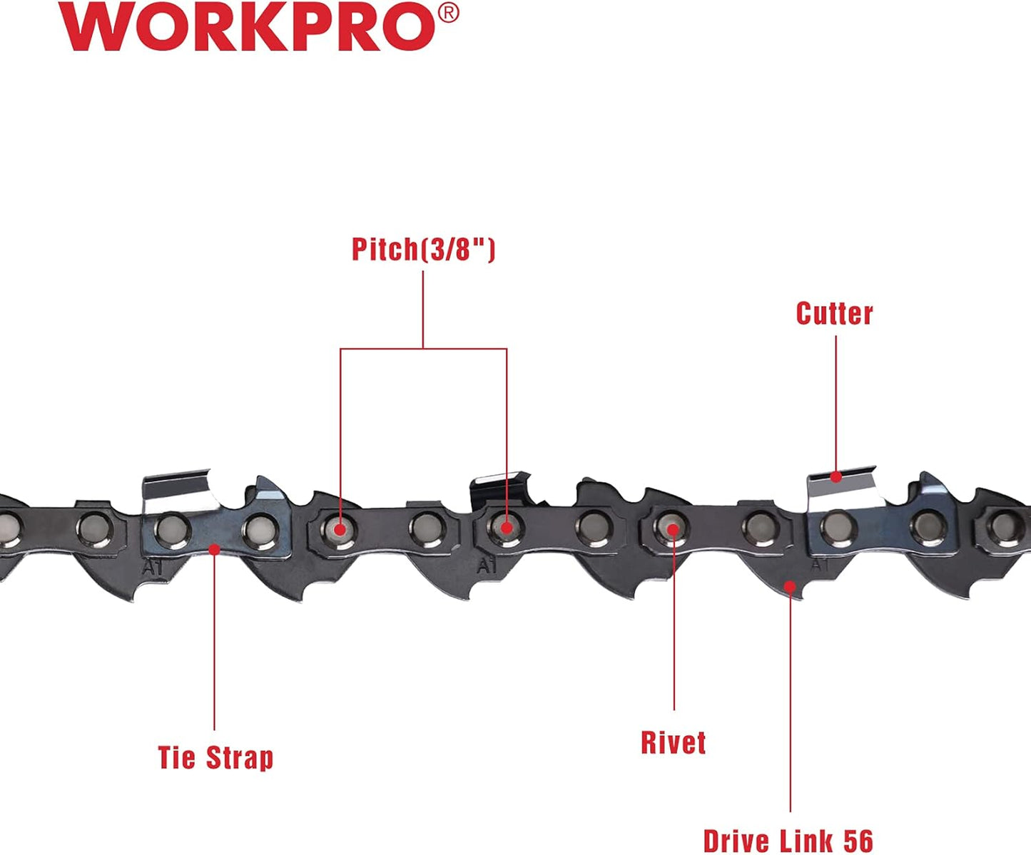 WORKPRO 2-Pack Chainsaw Chain for 16-Inch Bar, 3/8"Pitch, 56 Drive Links Wood Cutting Saw Chain for Chainsaw Parts fits Craftsman, Poulan, Echo, DeWalt