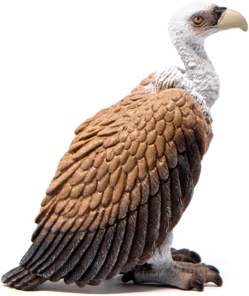 Schleich Wild Life, Animal Figurine, Animal Toys for Boys and Girls 3-8 years old, Vulture, Ages 3+
