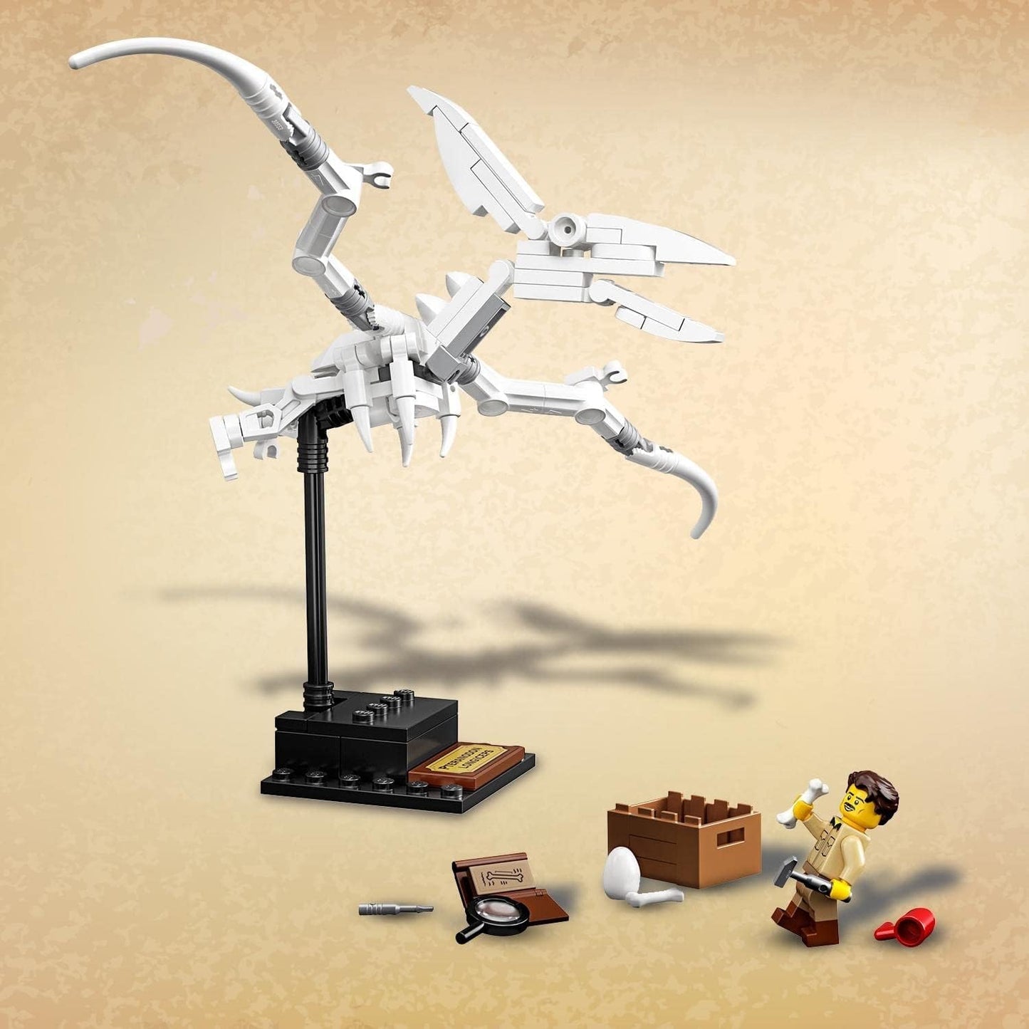 LEGO Ideas Dinosaur Fossils Collector's Model 21320 Natural History Museum Display;Building Toy